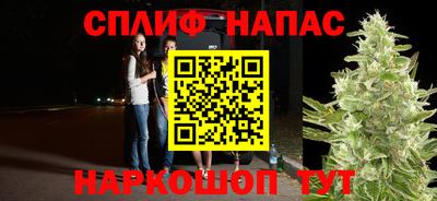 дурь Заводоуковск