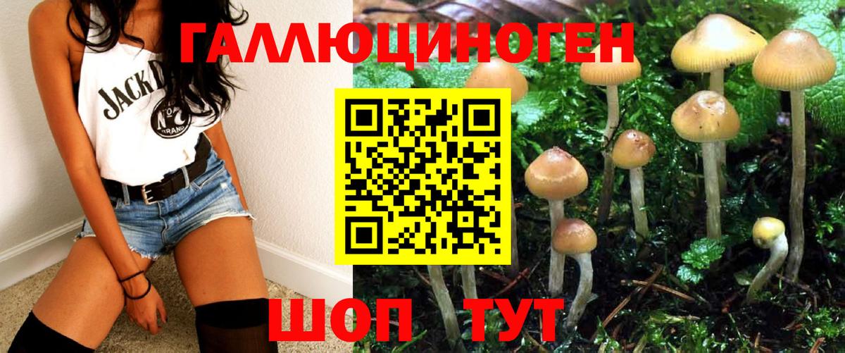 Псилоцибиновые грибы MAGIC MUSHROOMS Ессентуки