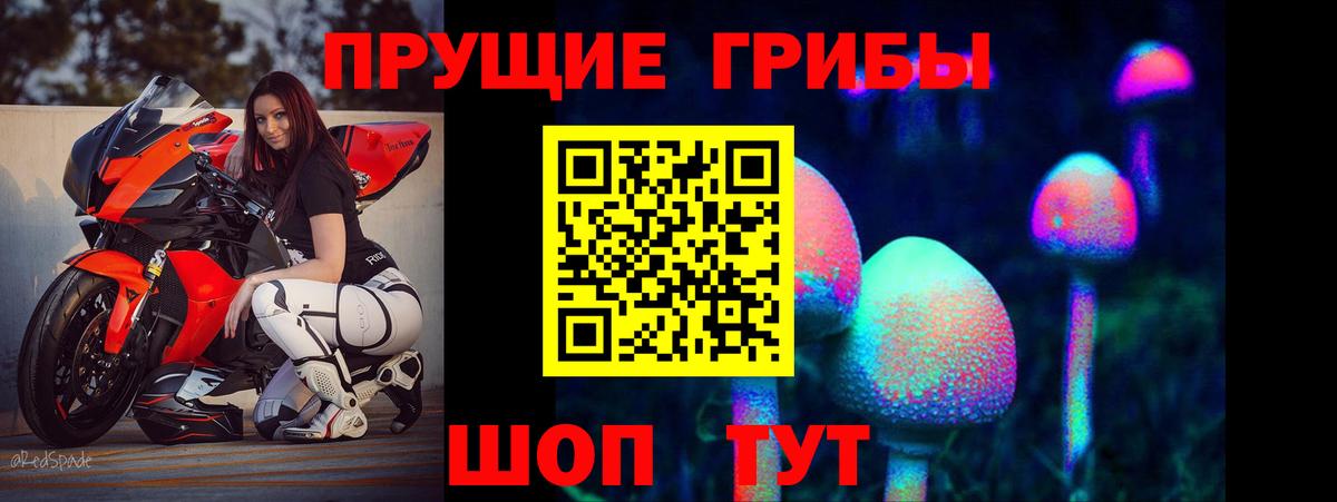Псилоцибиновые грибы ЛСД  Вход с VPN  Ессентуки 