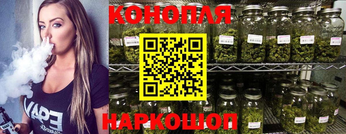 Конопля сатива Ессентуки